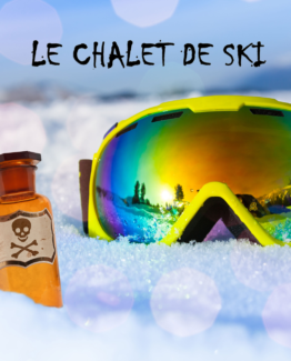 cover_chalet_ski_web